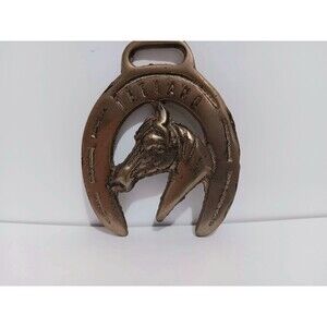 Brass/Cast Iron Horse Shoe  IRELAND Wall Mount Country Farmhouse Home Decor 3 "